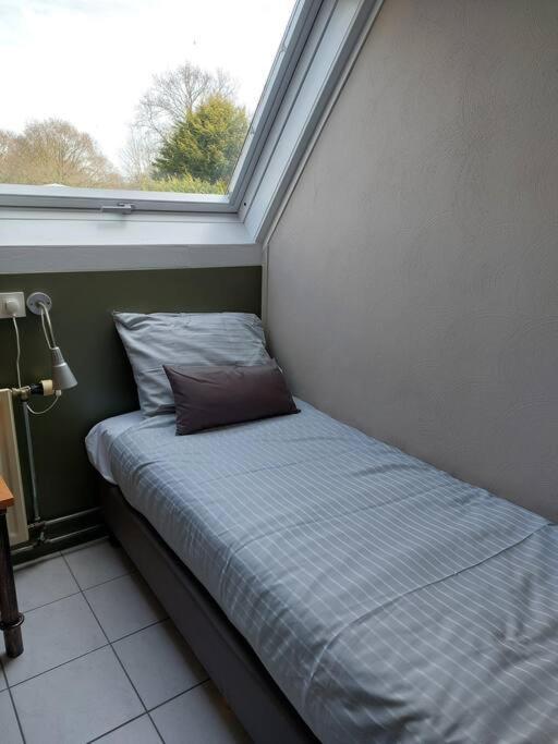 Boszicht 2 Appartement In Oostkapelle Exteriör bild